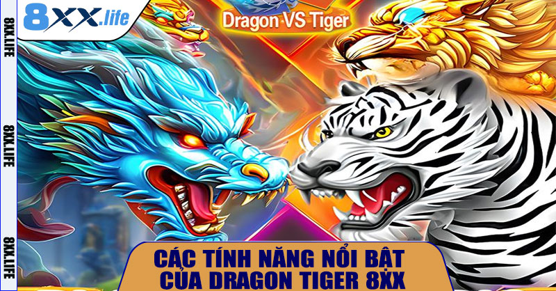 Các tính năng nổi bật của Dragon Tiger 8XX