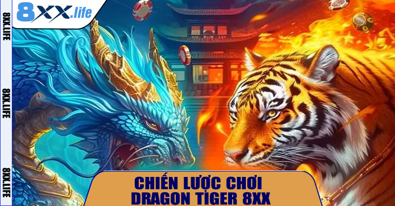 Chiến lược chơi Dragon Tiger 8XX hiệu quả