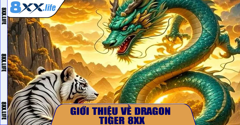 Giới thiệu về Dragon Tiger 8XX
