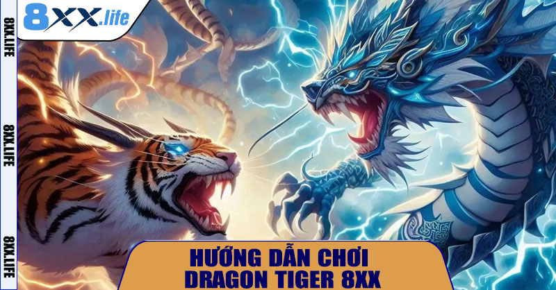 Hướng dẫn chơi Dragon Tiger 8XX