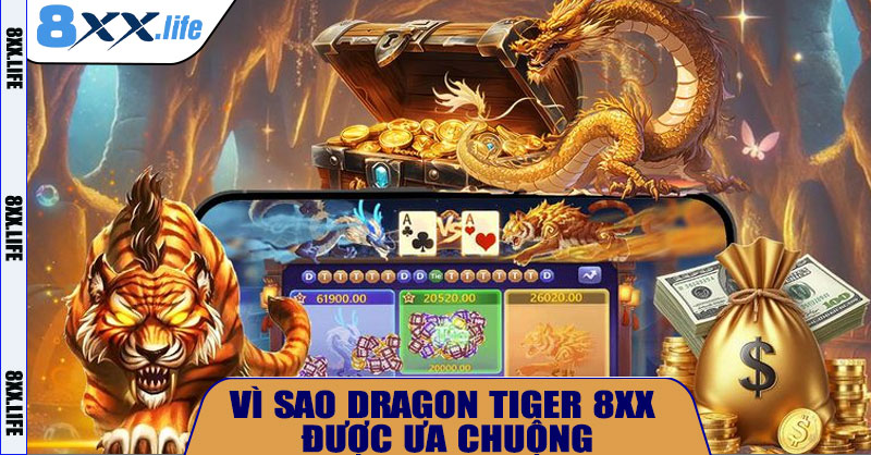 Vì sao Dragon Tiger 8XX được ưa chuộng