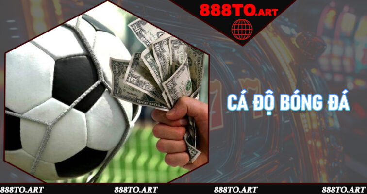 Bí Kíp Cá Độ Bóng Đá An Toàn Và Thắng Lớn Dành Cho Người Mới Tại 888to